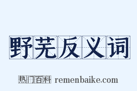 野芜反义词是什么意思的图片